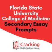 fsu secondary application|fsu secondary medical school questions.